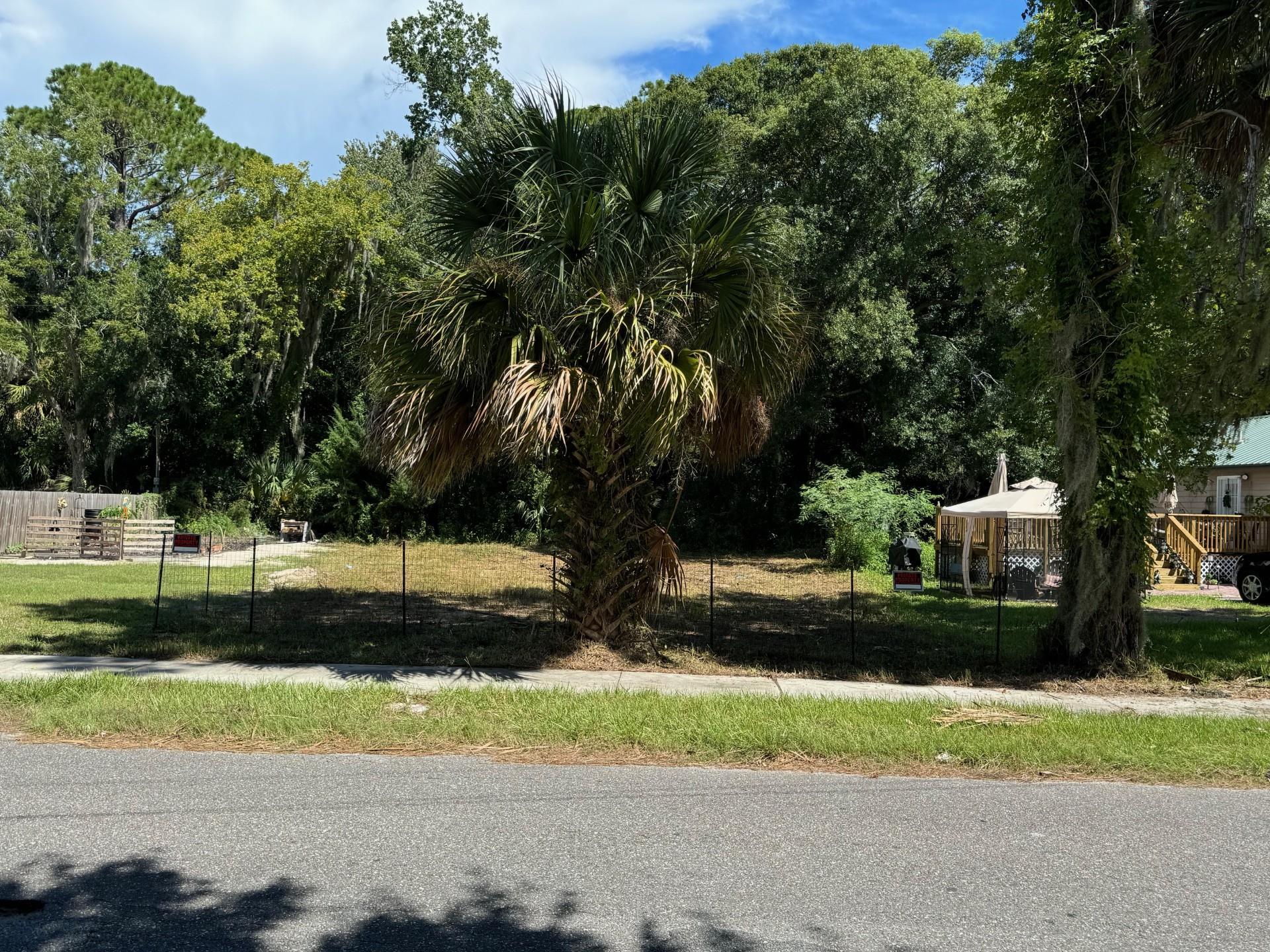 a view of backyard with green space