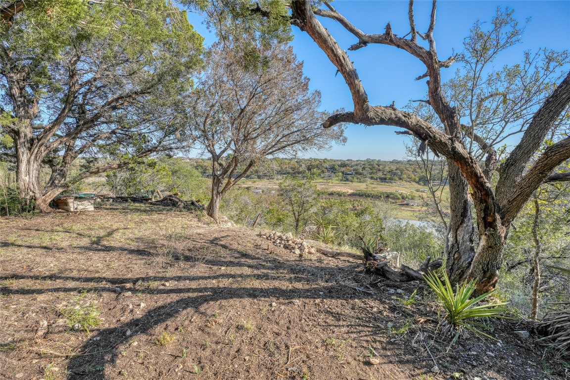 a view of a yard with a tree