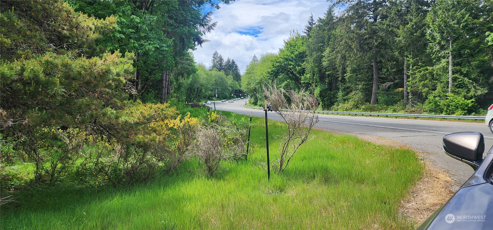 a large green field with lots of trees