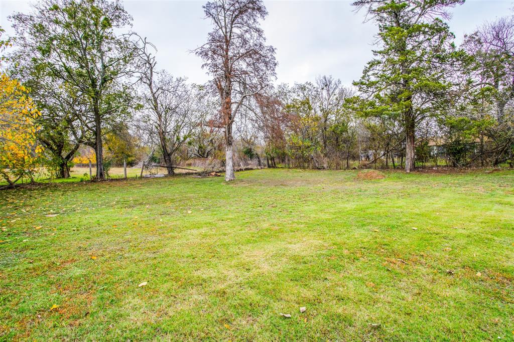 a view of a yard with a trees