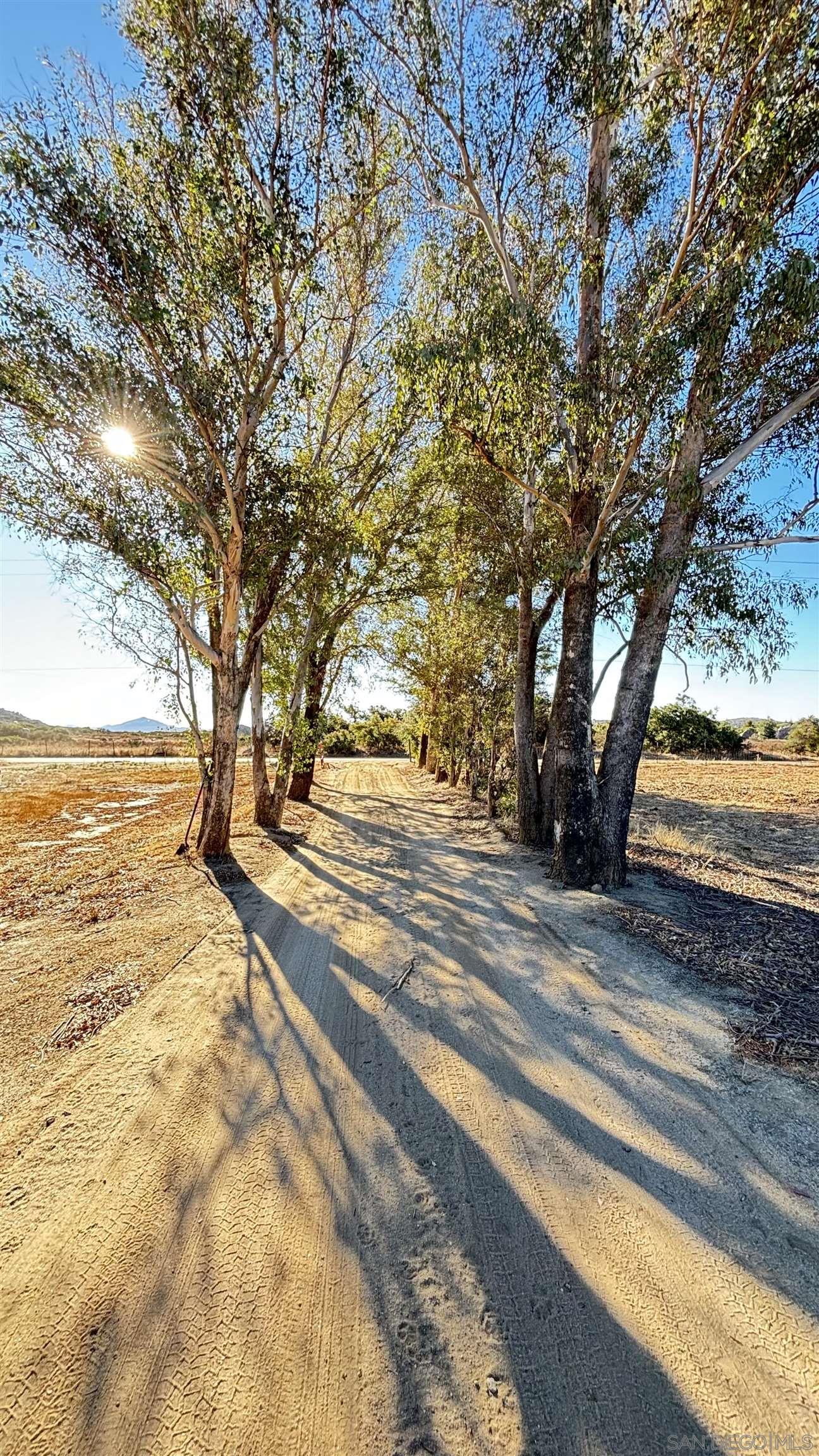 a view of road with trees