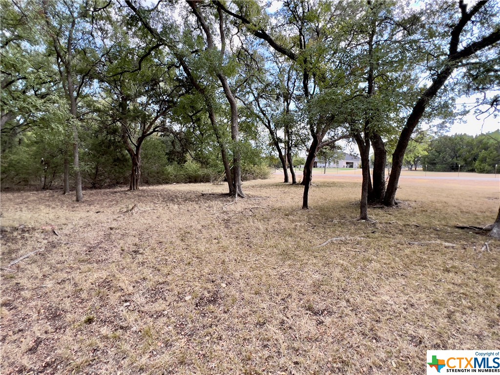 a view of empty room with trees