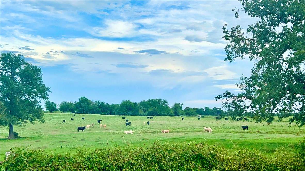 a view of a green field