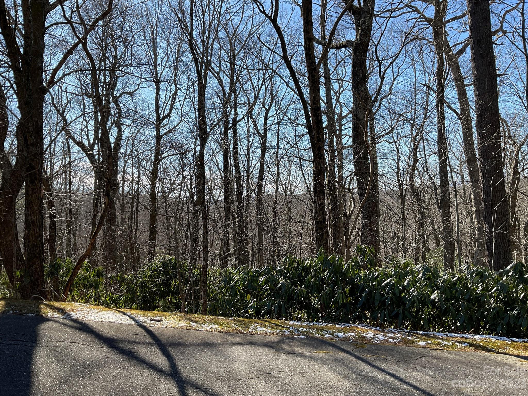 a view of a street with a trees