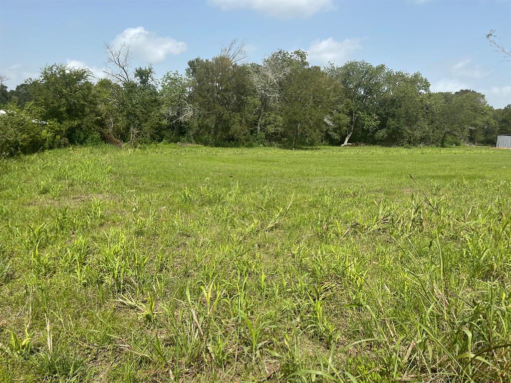 a view of a field with a trees in the background