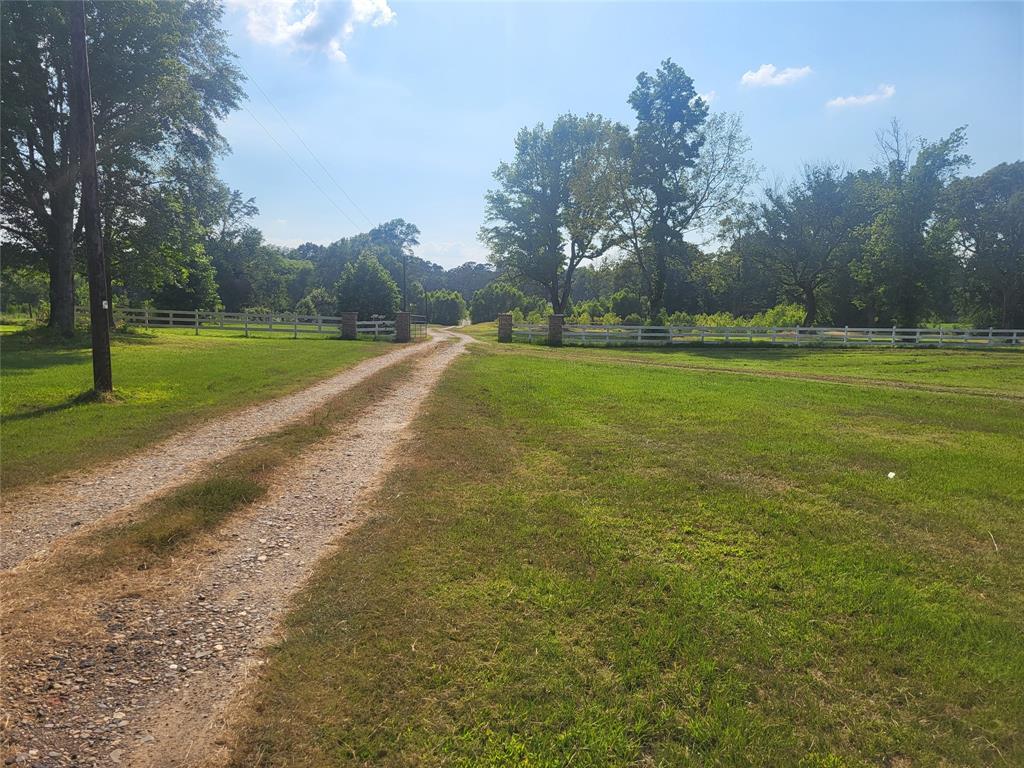 a view of a park with large trees