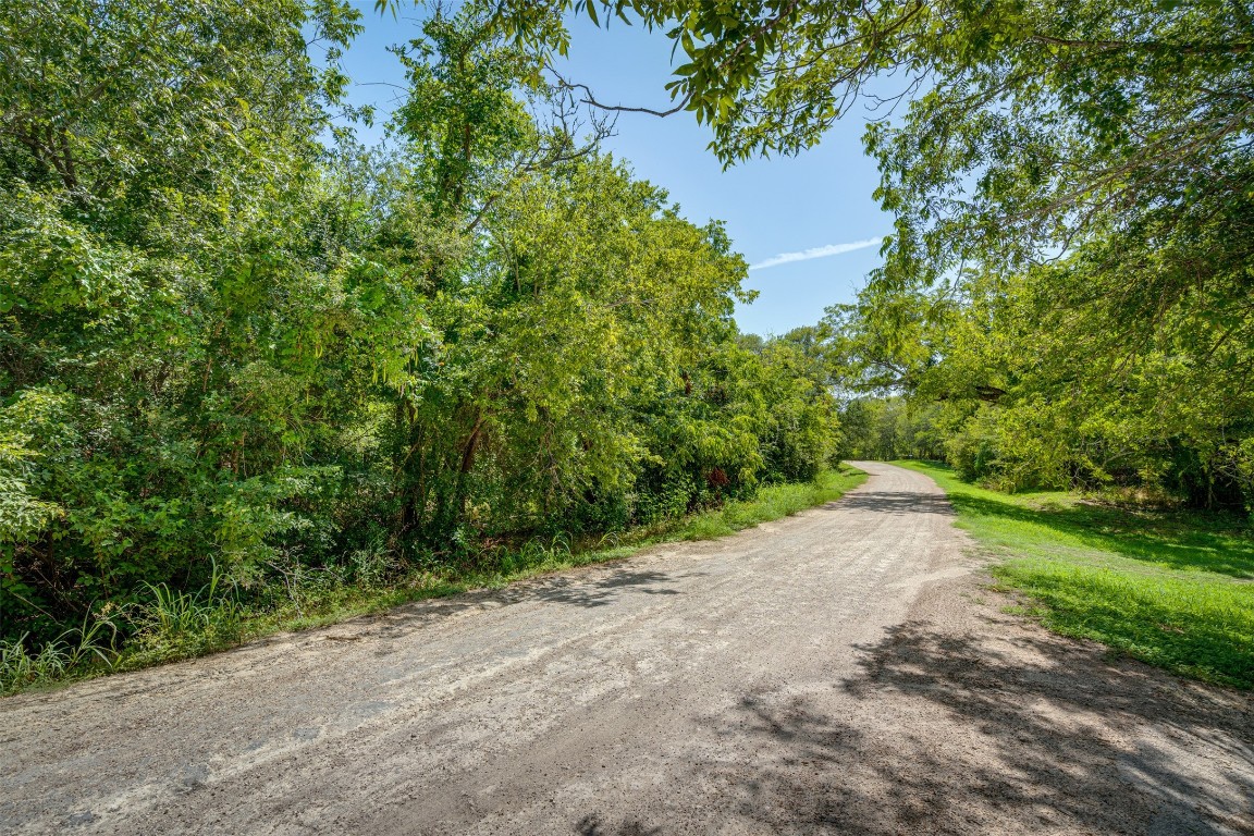 a view of a road with a trees