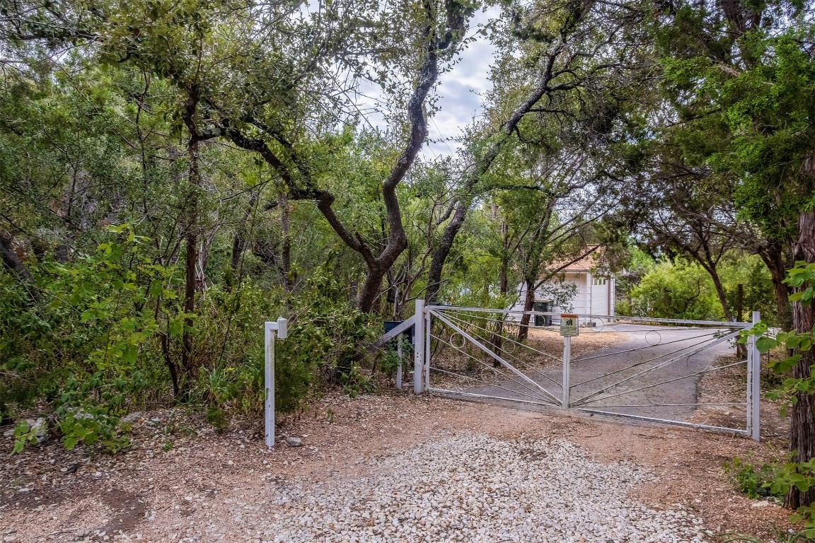 a view of a park with large trees