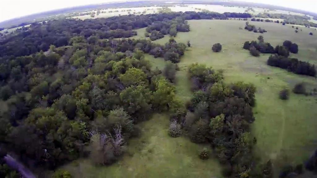 a view of a lush green forest with houses