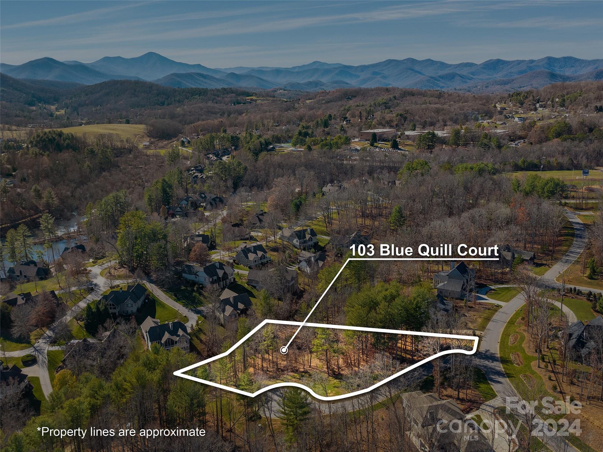 an aerial view of residential house with outdoor space