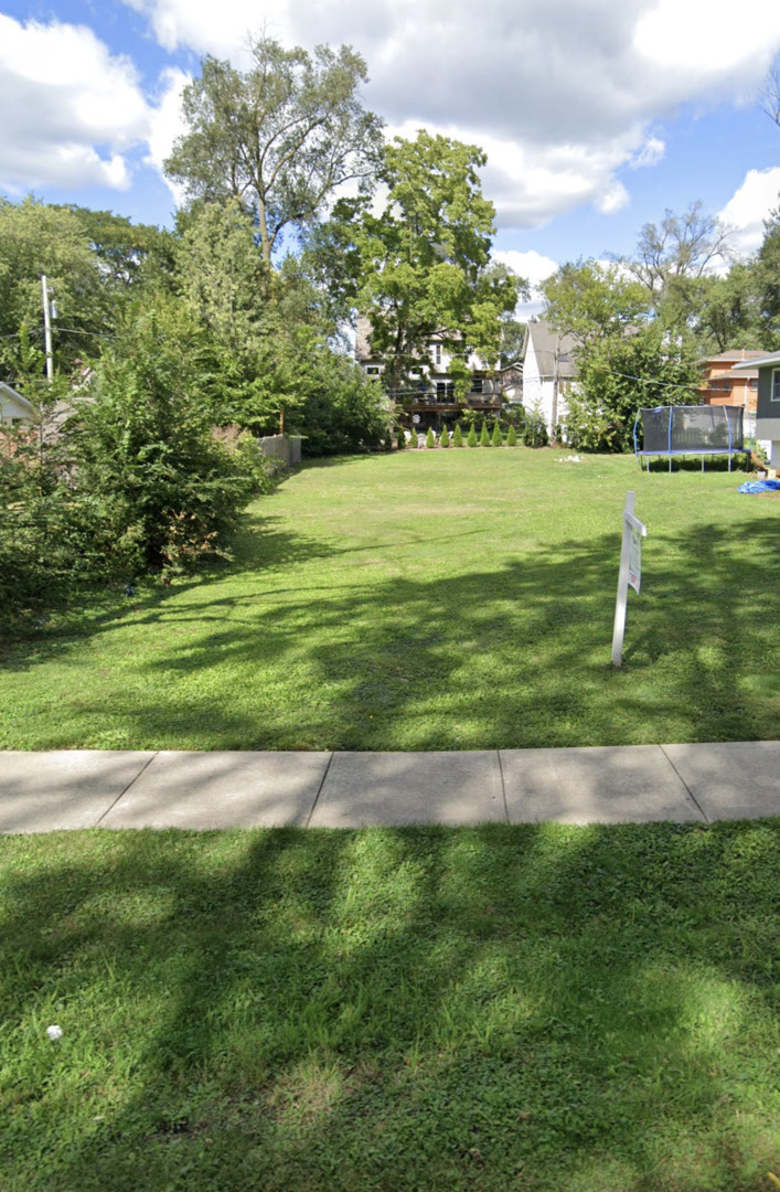 a view of a big yard with plants and large trees