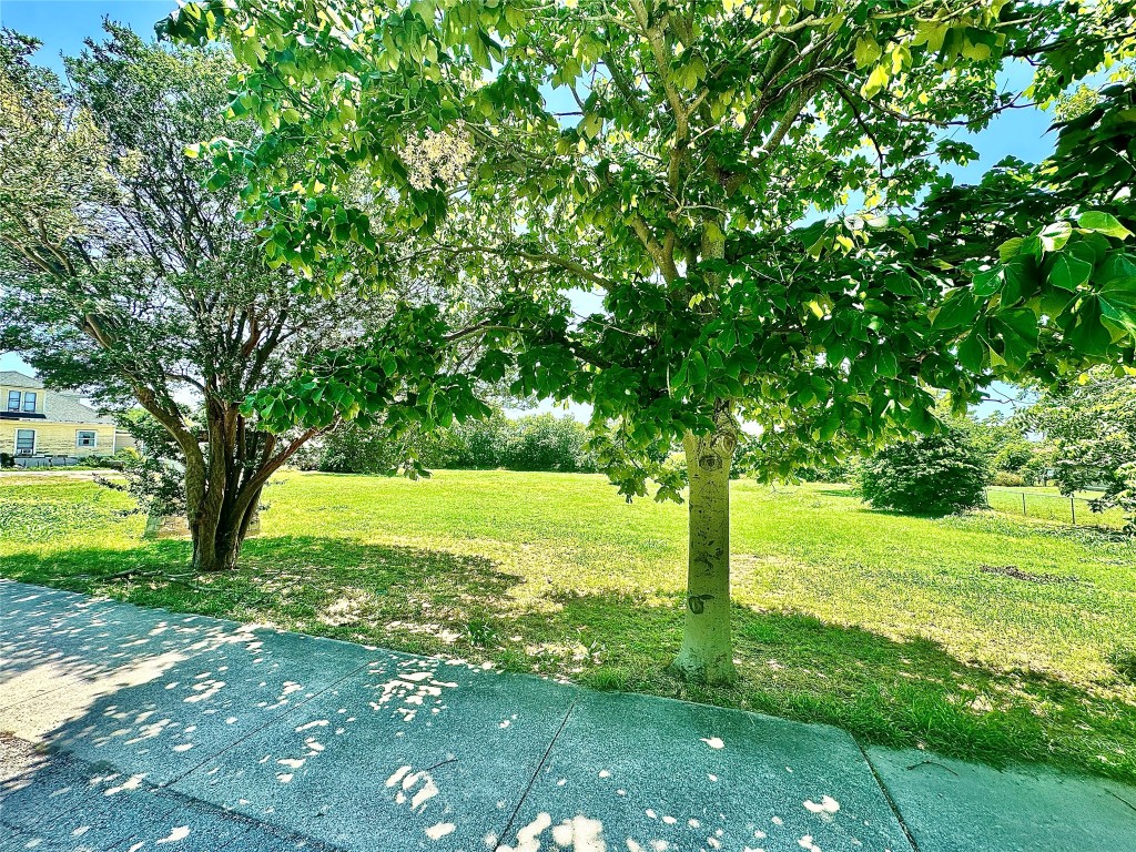 a view of a trees with a yard