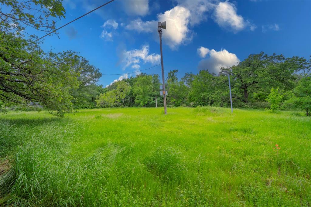 a view of a trees with a yard