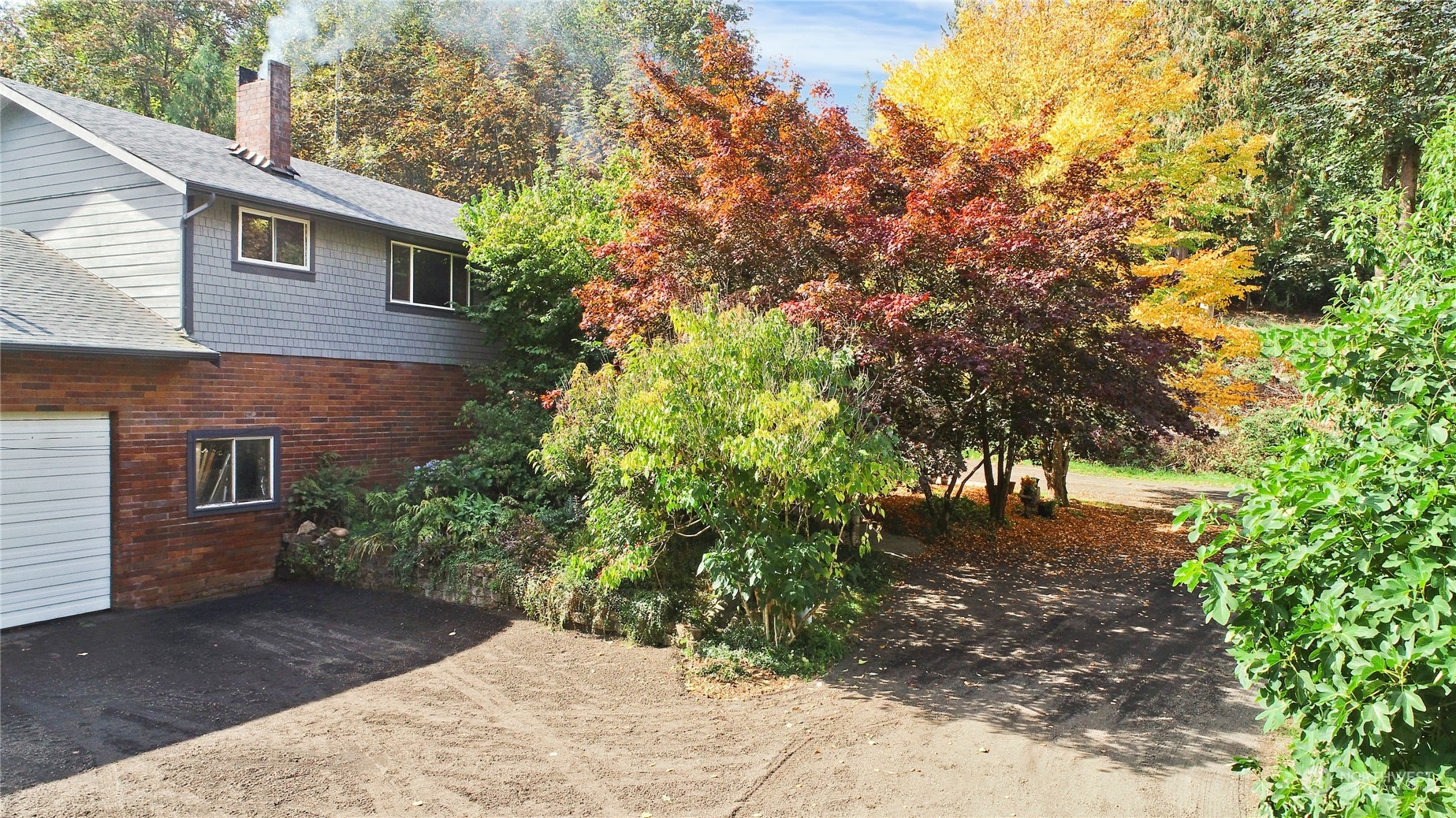 a view of backyard with plants and trees