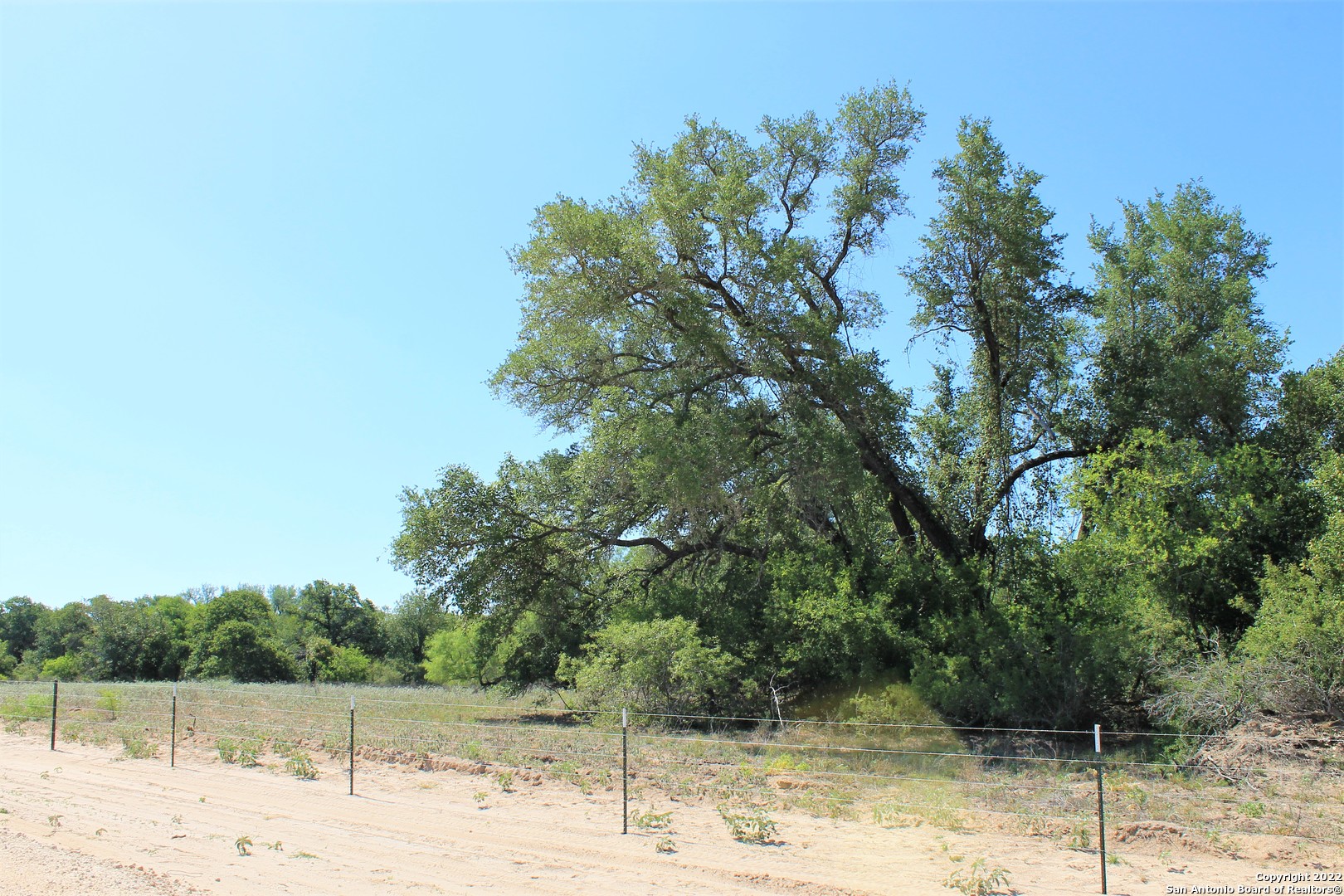 a view of a yard with a tree