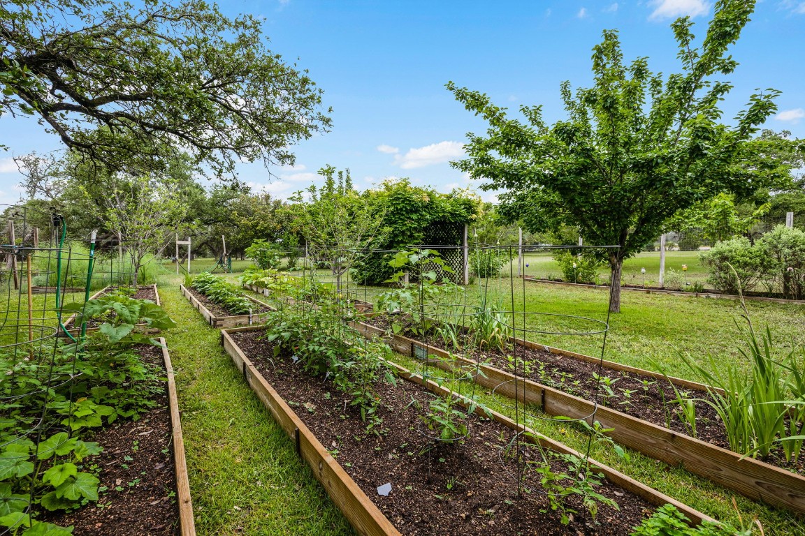 Amazing fenced garden,, and fruit trees.