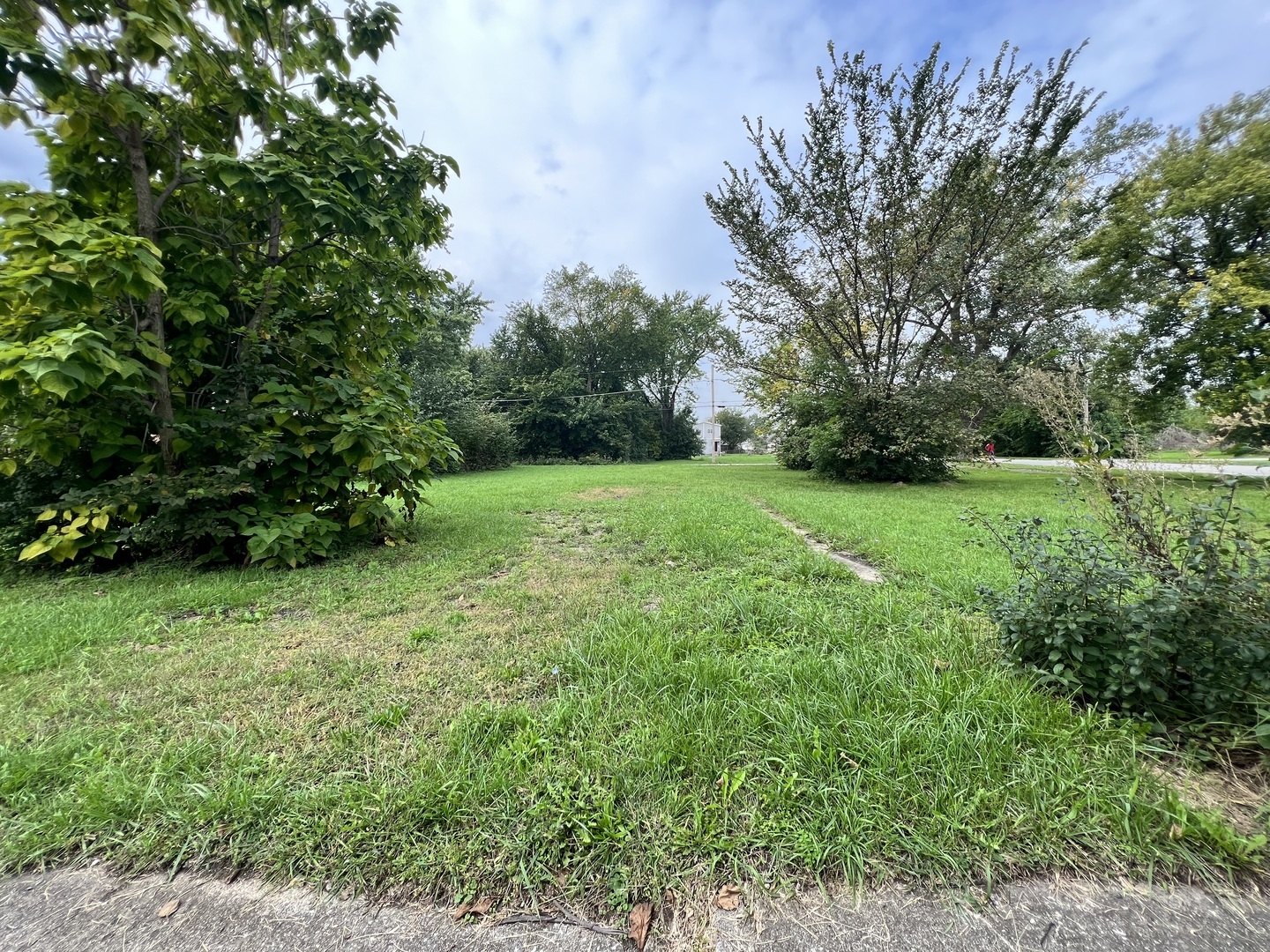 a view of a lush green space