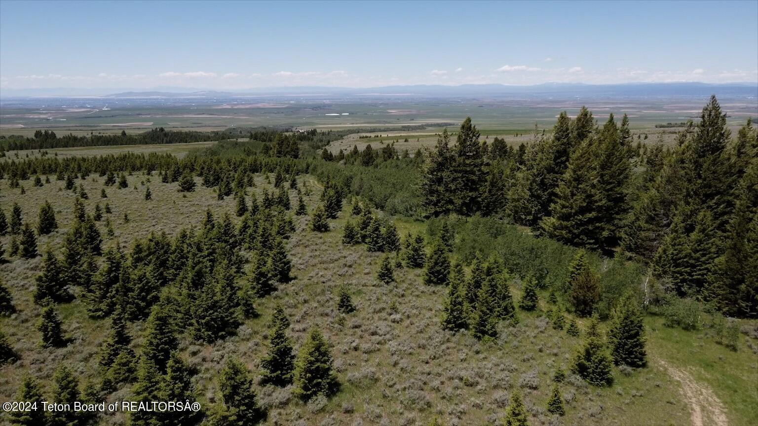 Bob's Crop Picture of the valley