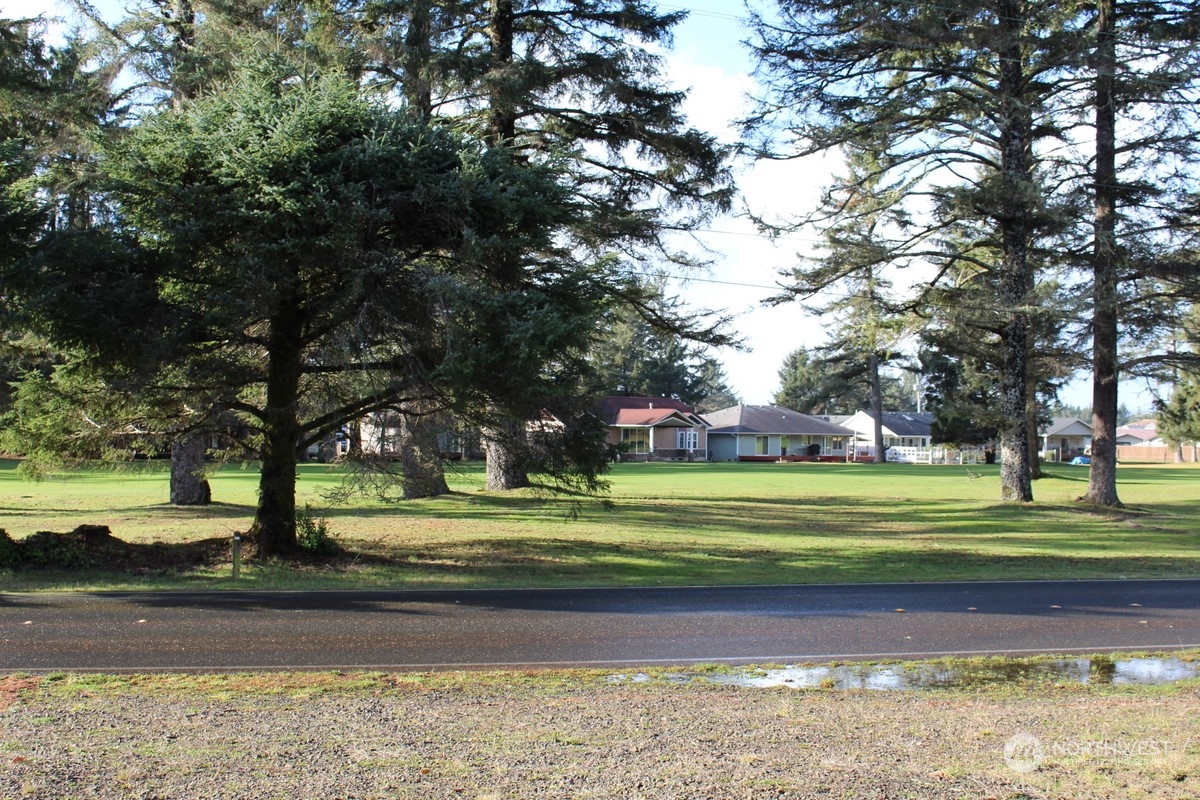 a park view with large trees