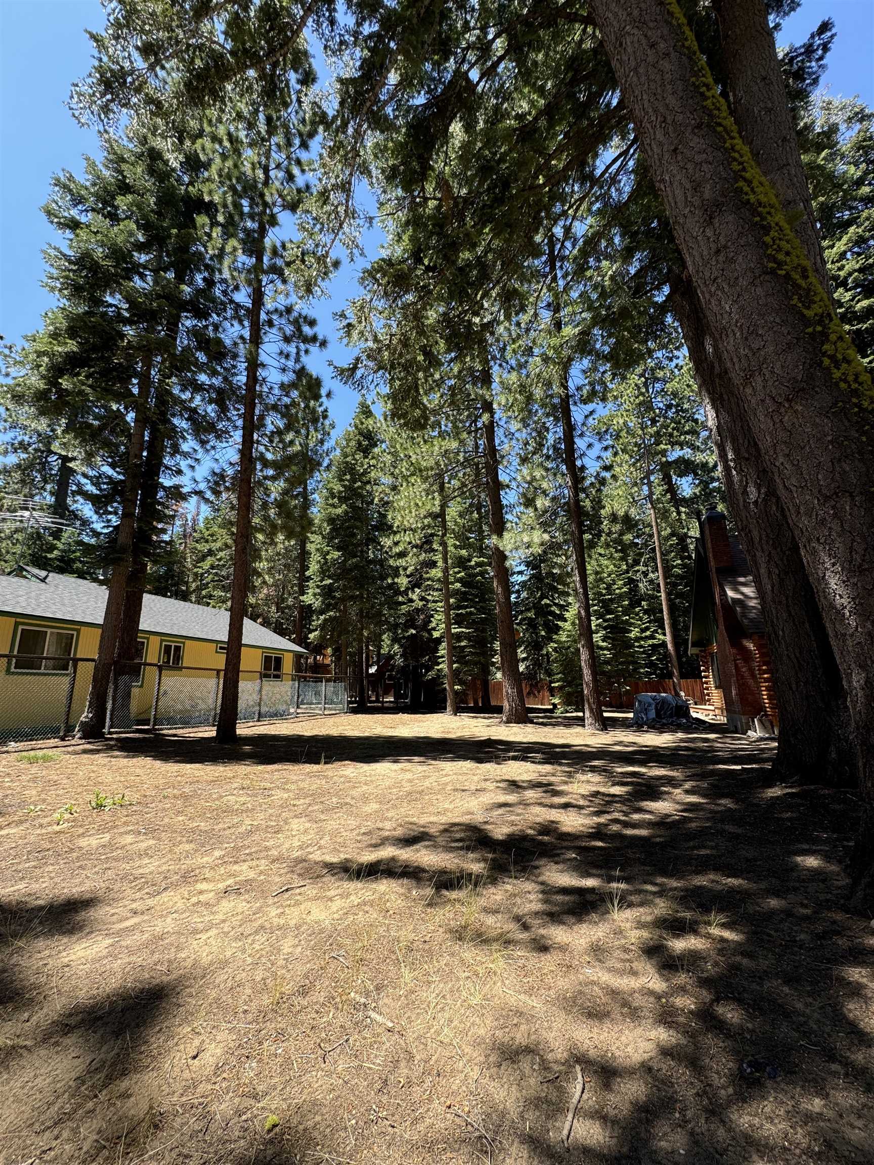 a view of a yard with large trees