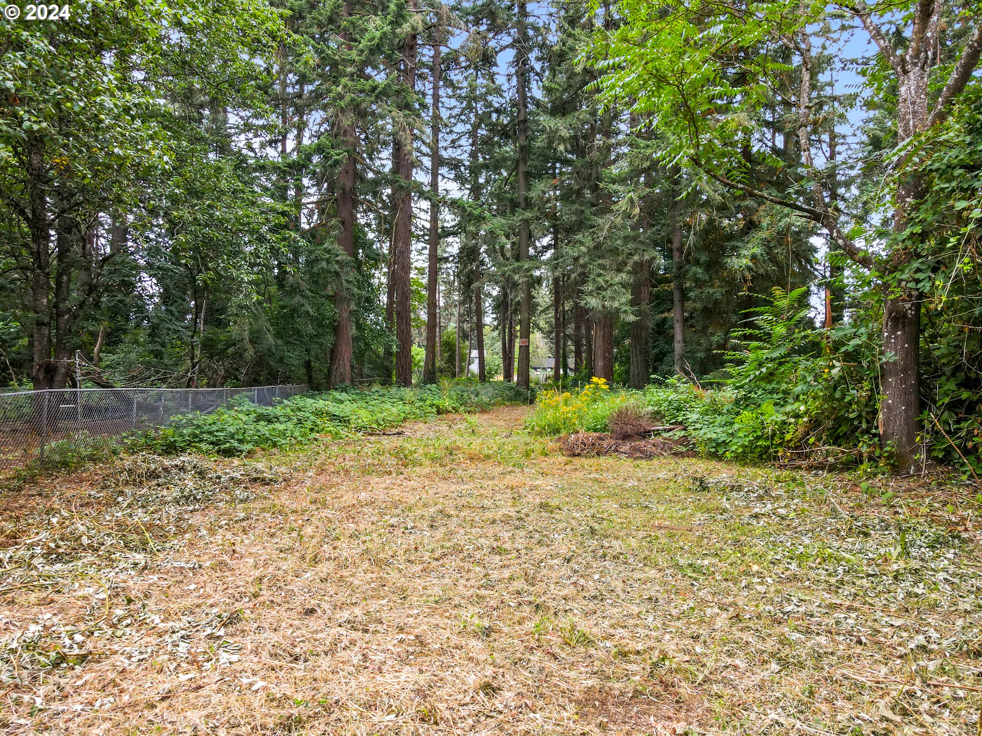 a backyard of a house with lots of green space