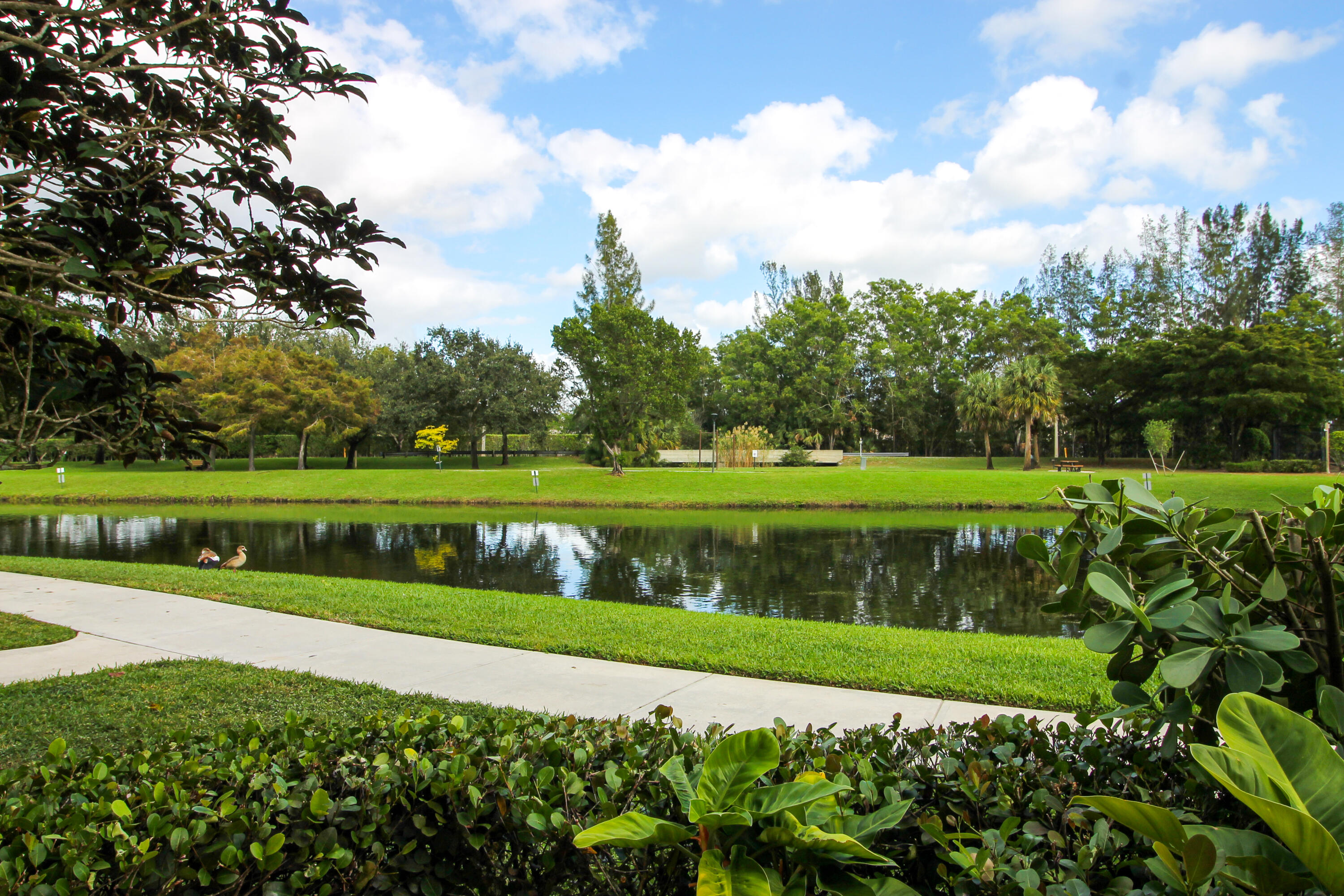 a view of a golf course with a lake