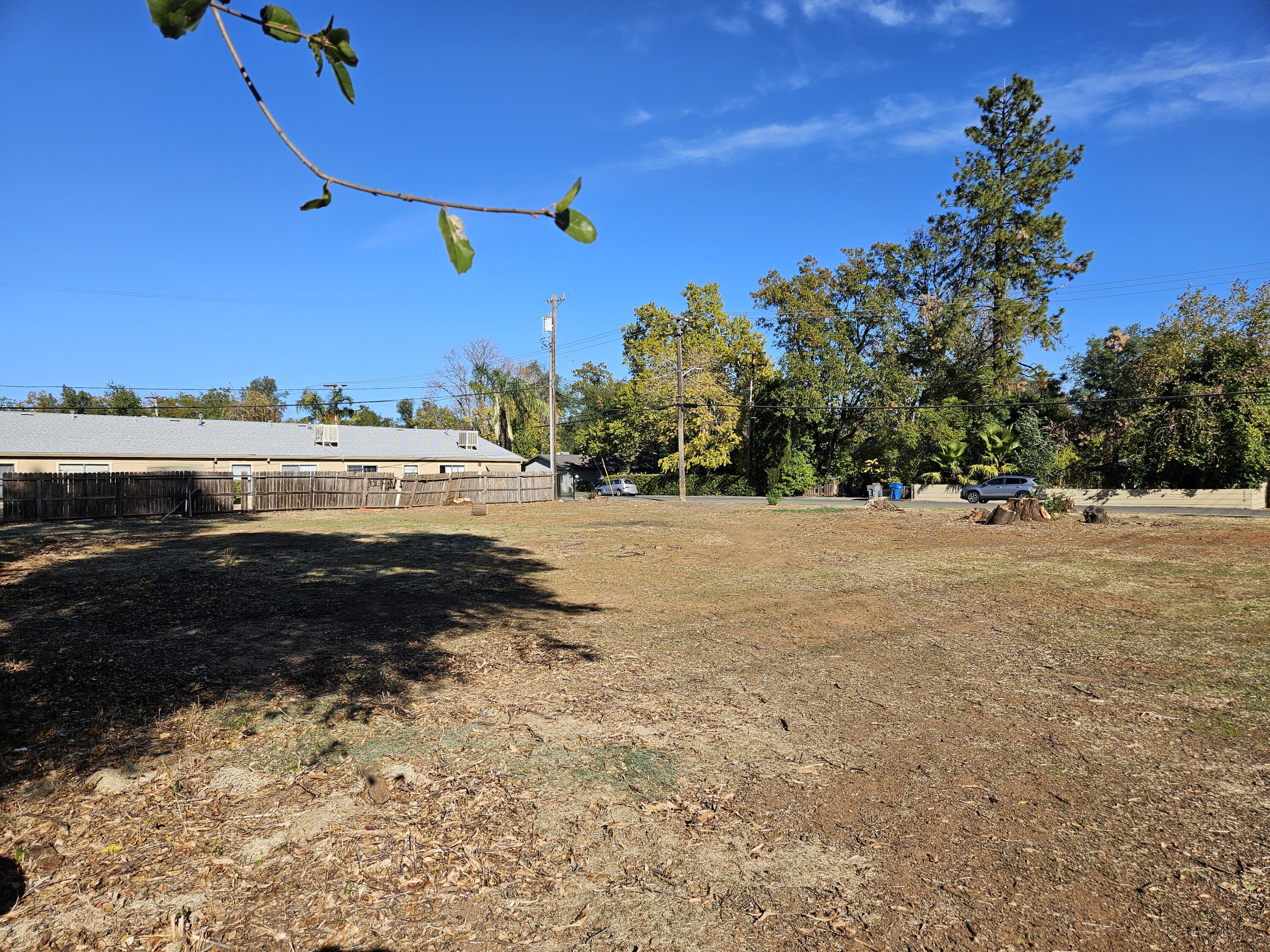 a view of a backyard