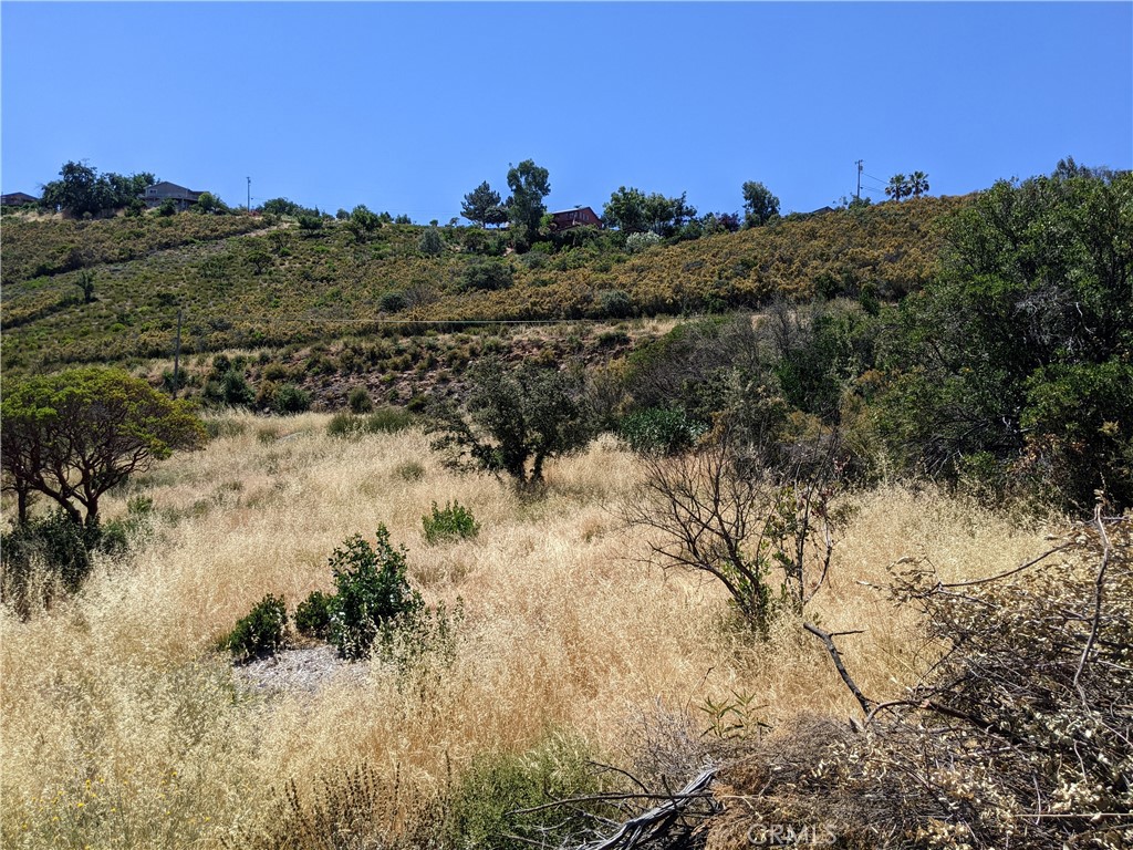 a view of a large yard with a mountain