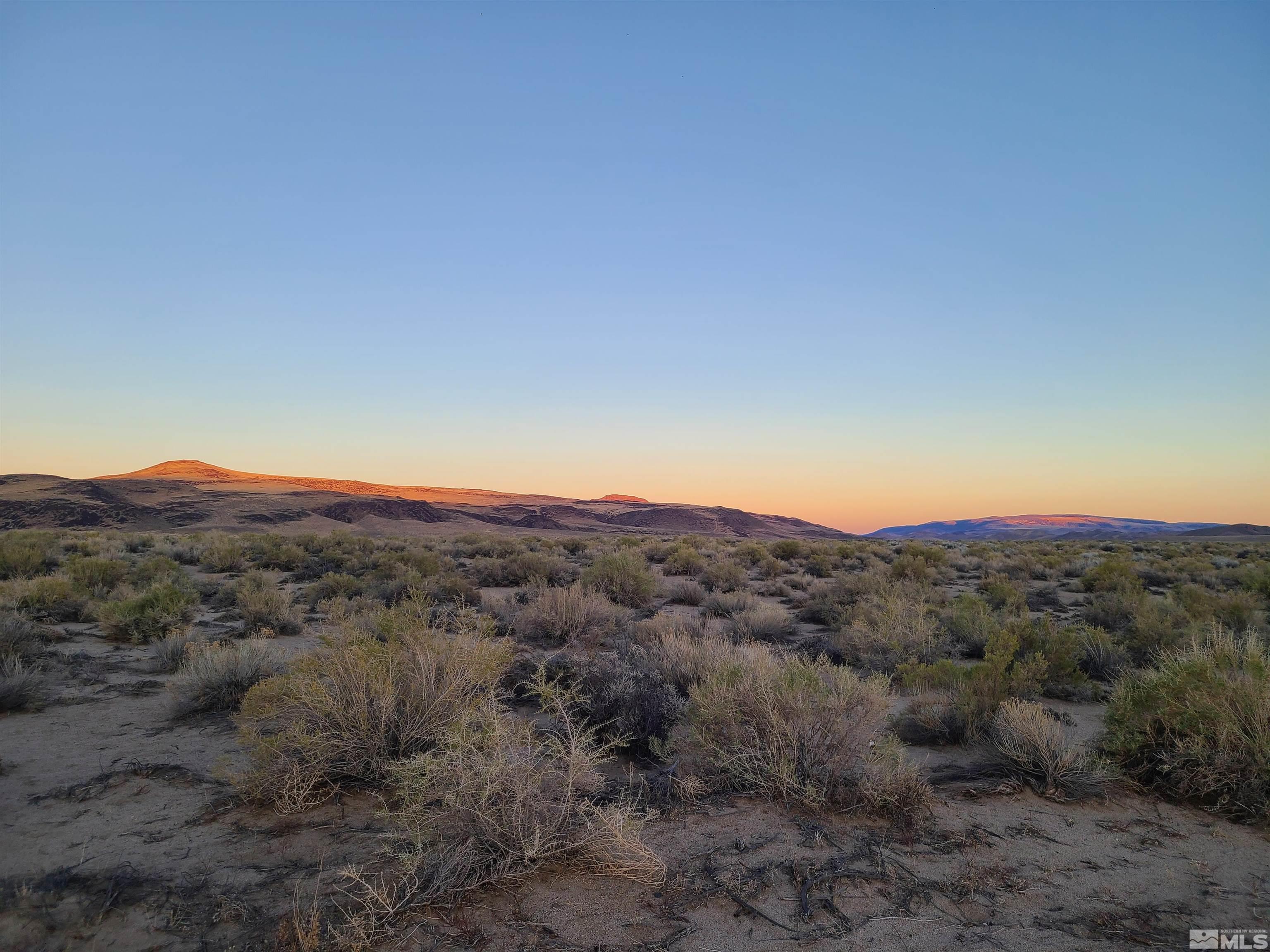 a view of a mountain in the distance in a field