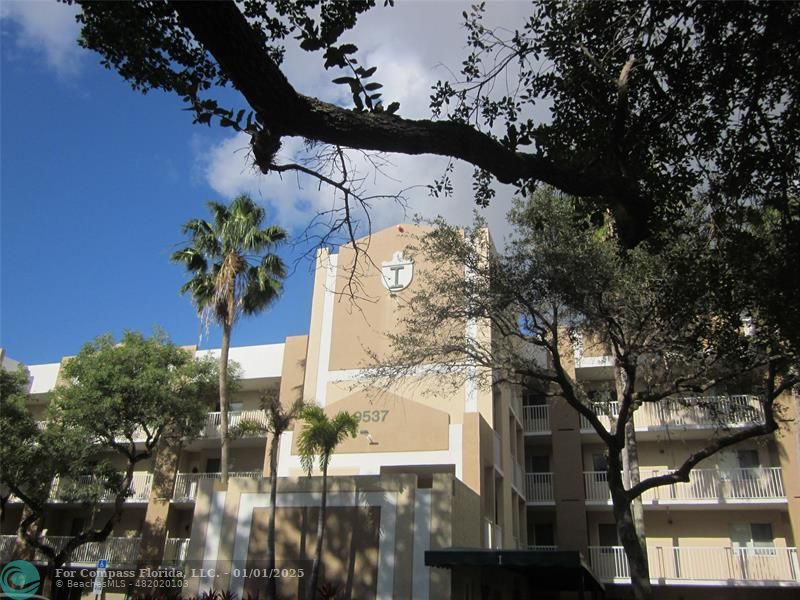 a picture of a tree in front of a building