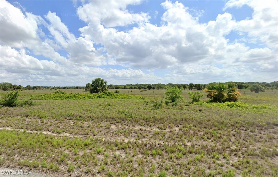 a view of a big yard with lots of green space