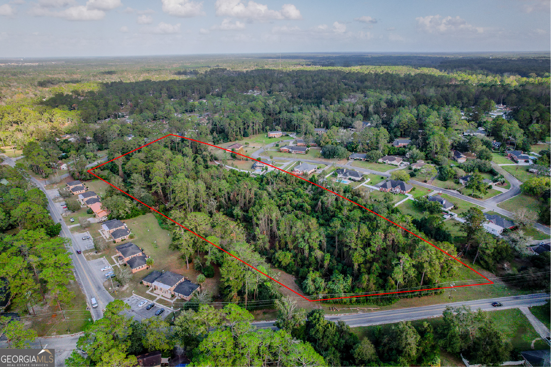 an aerial view of green landscape with trees houses and mountain view