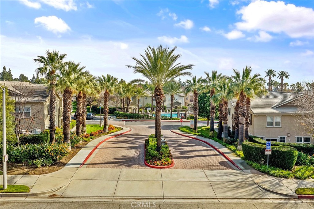 a view of a backyard with palm trees