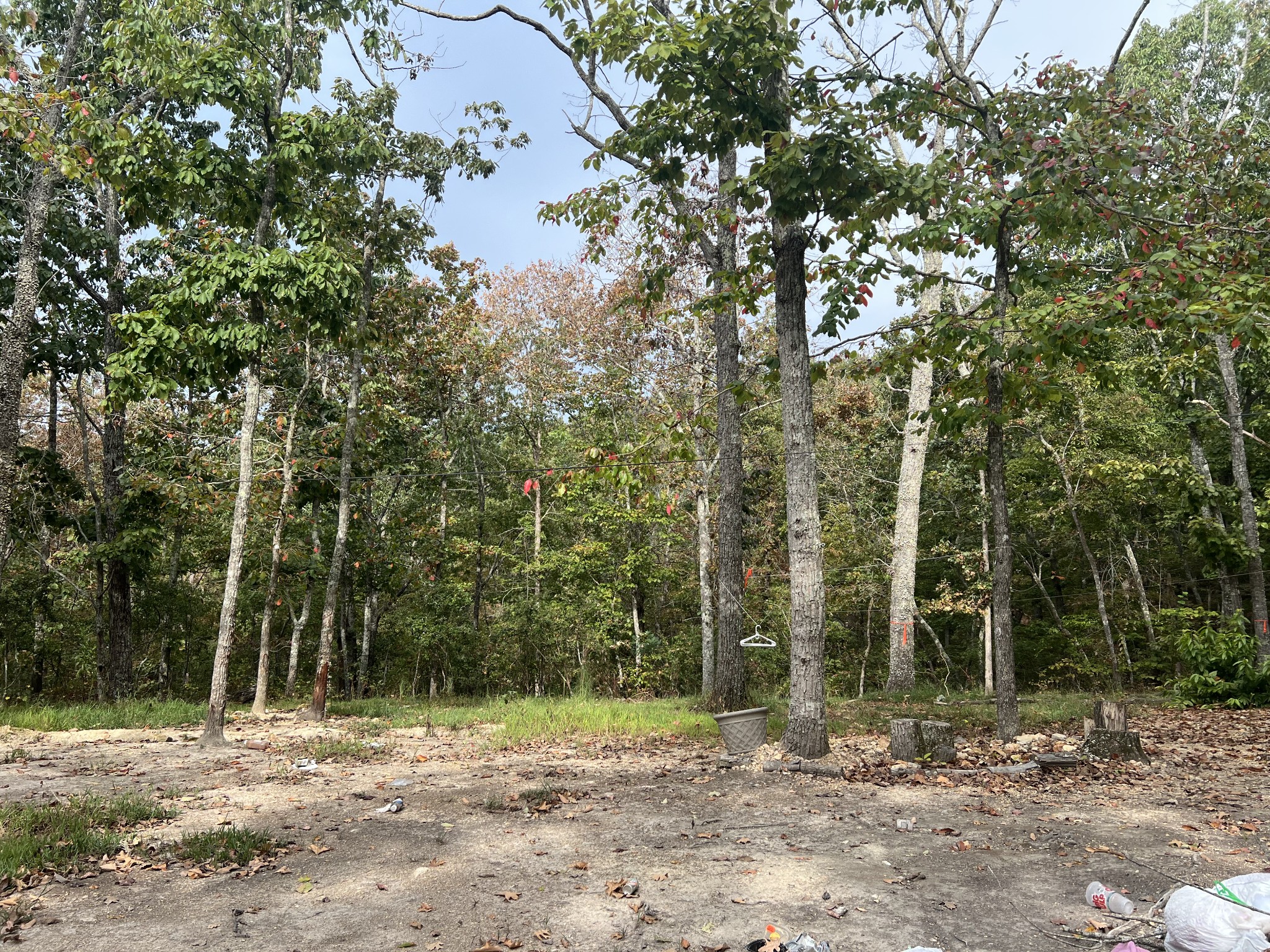 a backyard of a house with lots of trees