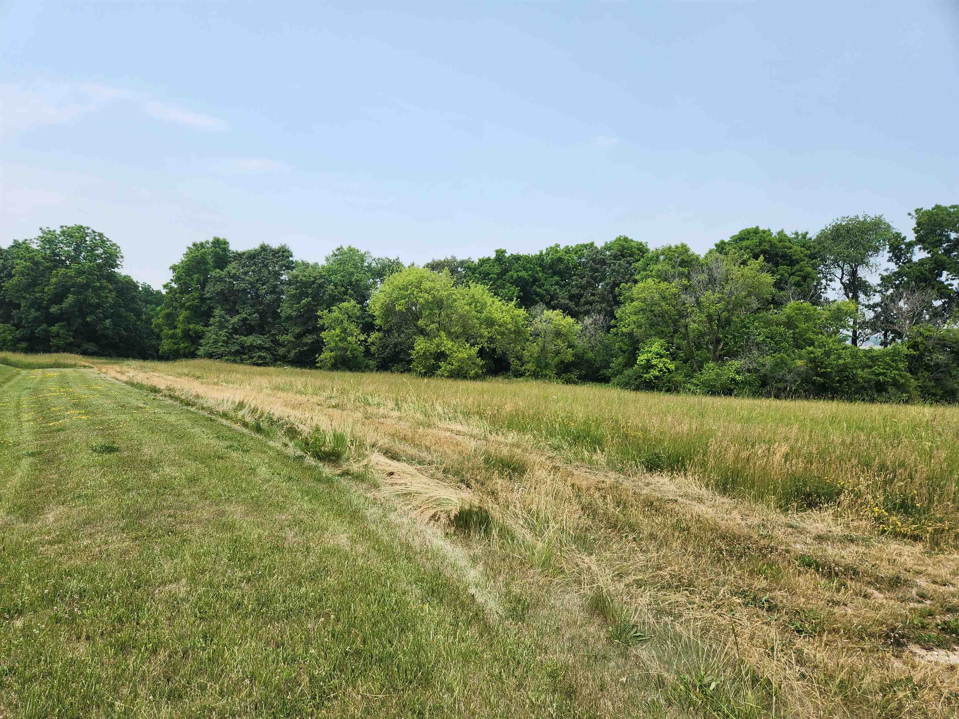 a view of a green field with wooden fence