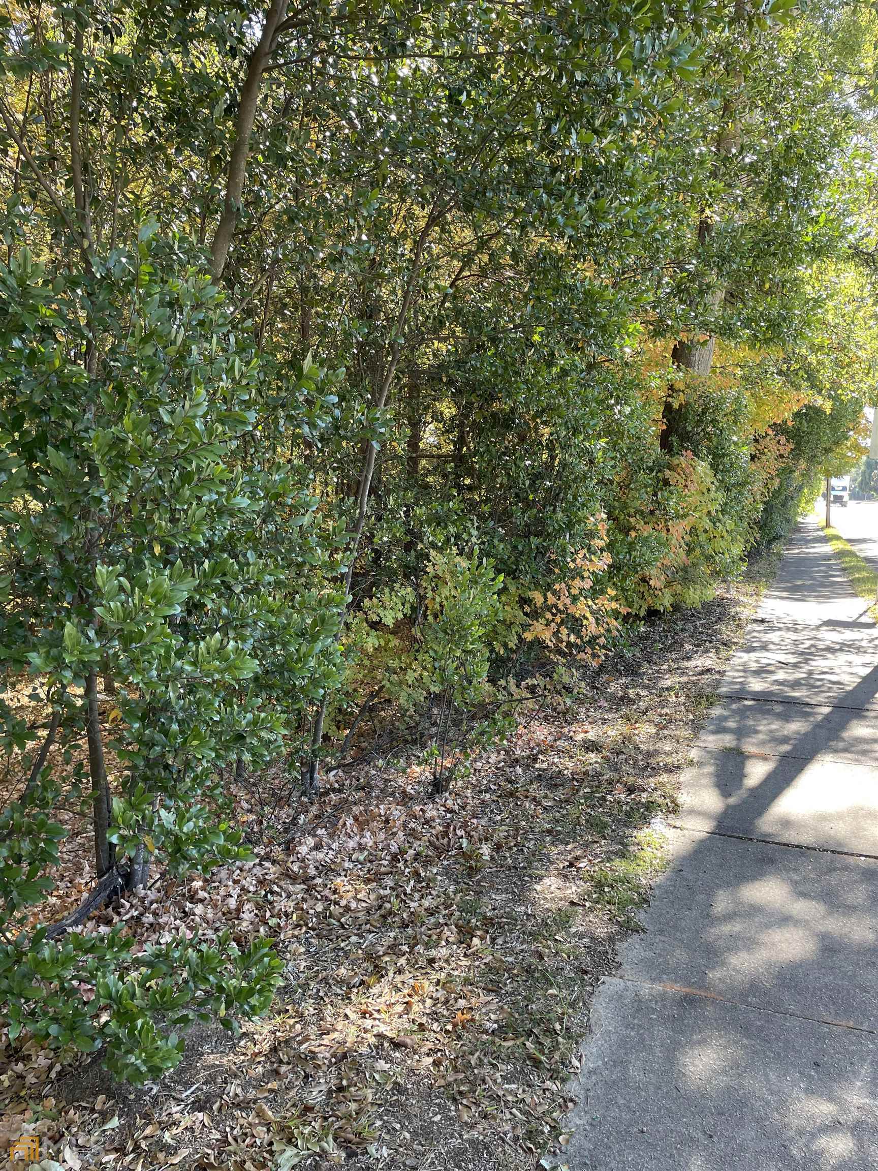 a view of a large yard with lots of green space