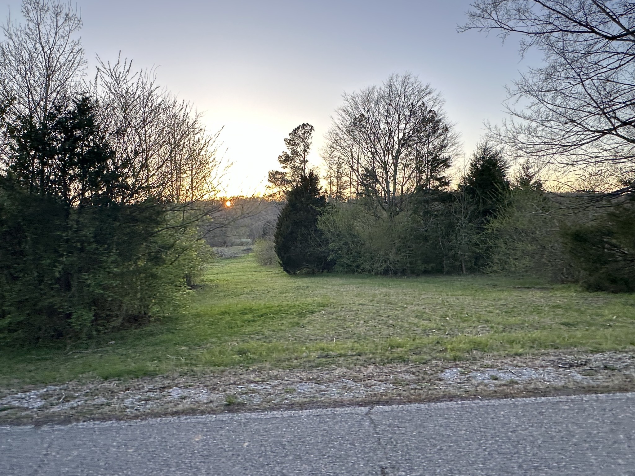 a big yard with lots of green space