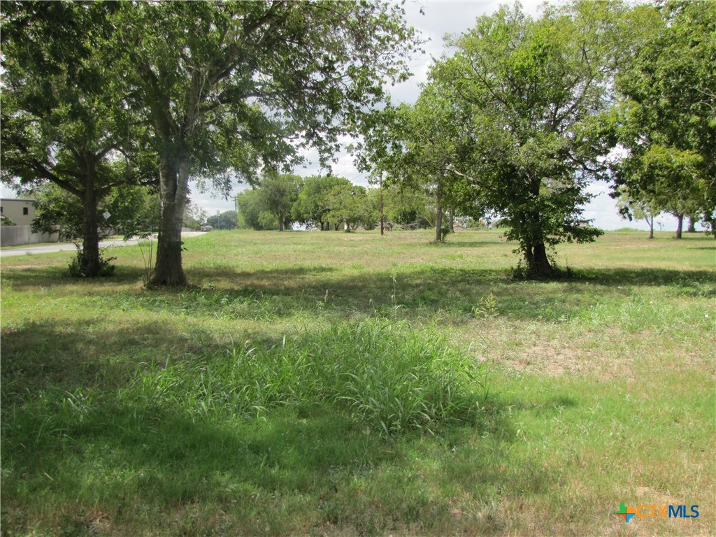 a view of a field with trees in front of it