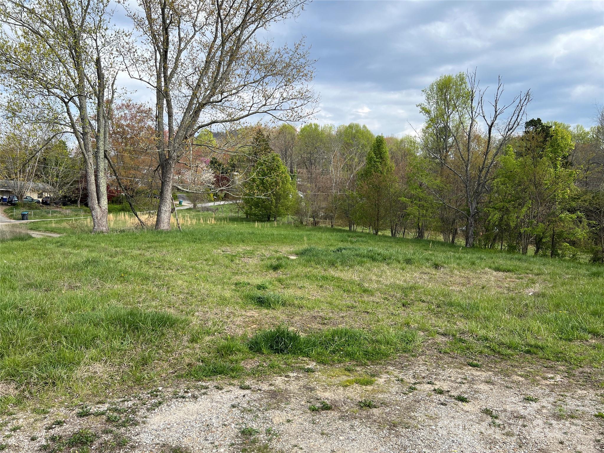 a view of a field with a tree