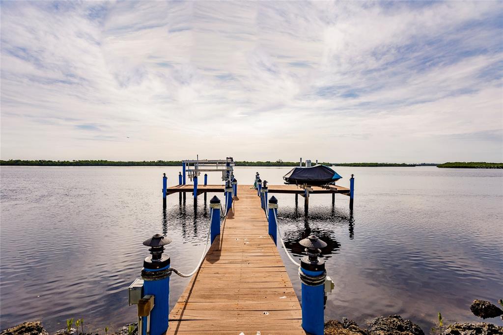 a view of a lake with boats and large trees