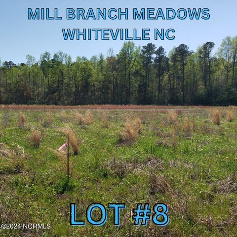 $24,500 | 97 Mill Branch Drive | Lees Township - Columbus County