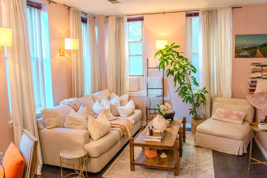 a living room with furniture and a potted plant