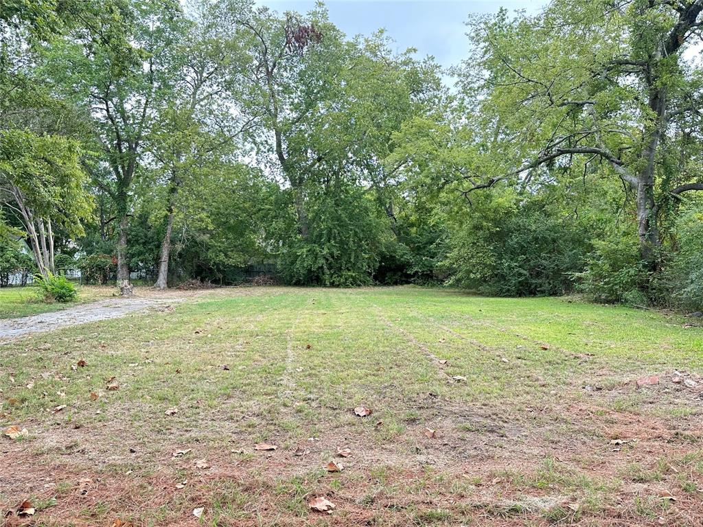 a view of a yard with a trees