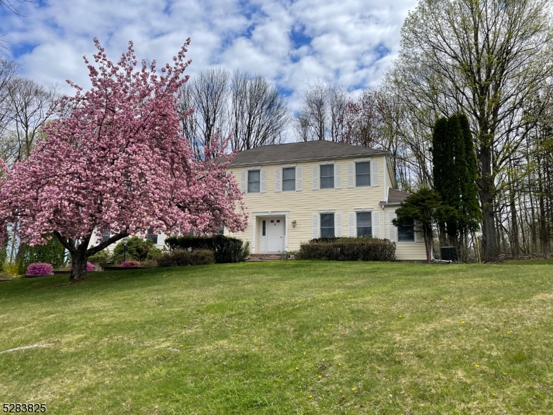 a view of a house with a garden