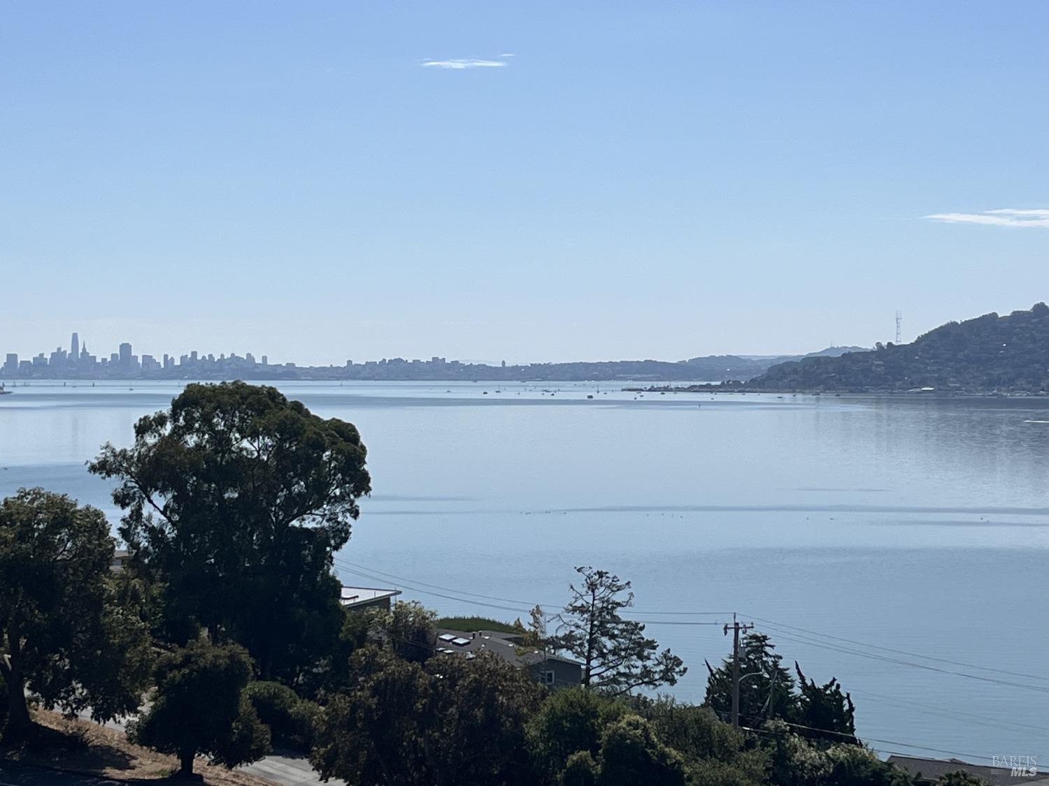 a view of a lake with houses in the back