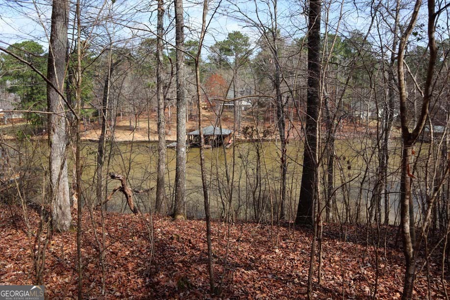 a view of a backyard of the house