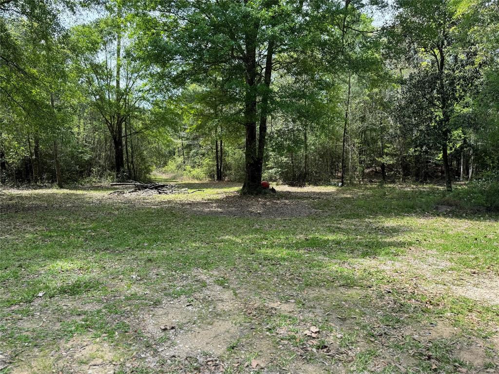 a view of outdoor space with trees all around