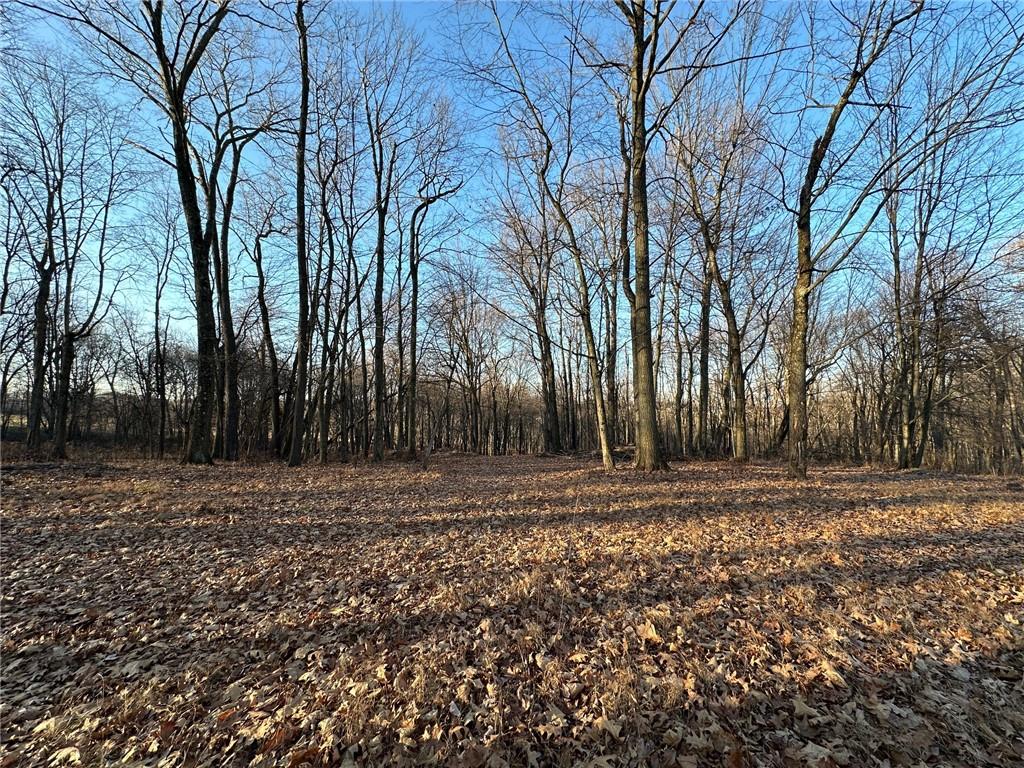 a view of a yard with trees