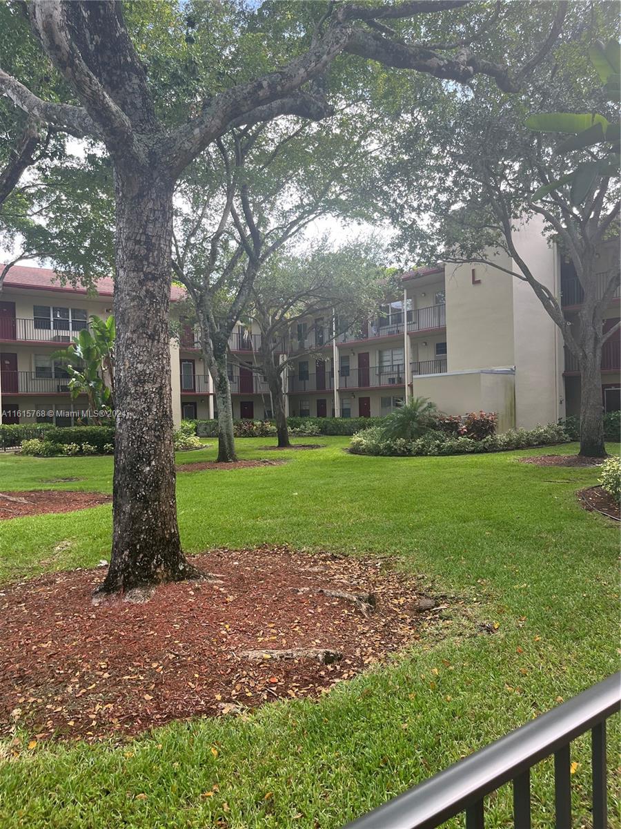 a view of a garden with large trees