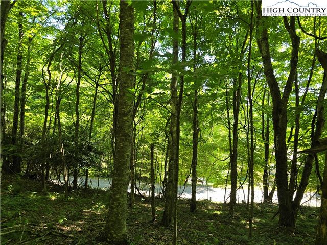 $49,000 | Lot 70 White Tail Trail | Old Fields Township - Ashe County